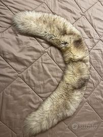 Collo volpe Groenlandia