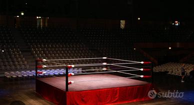 Ring 7x7 Twins special originale 4 corde