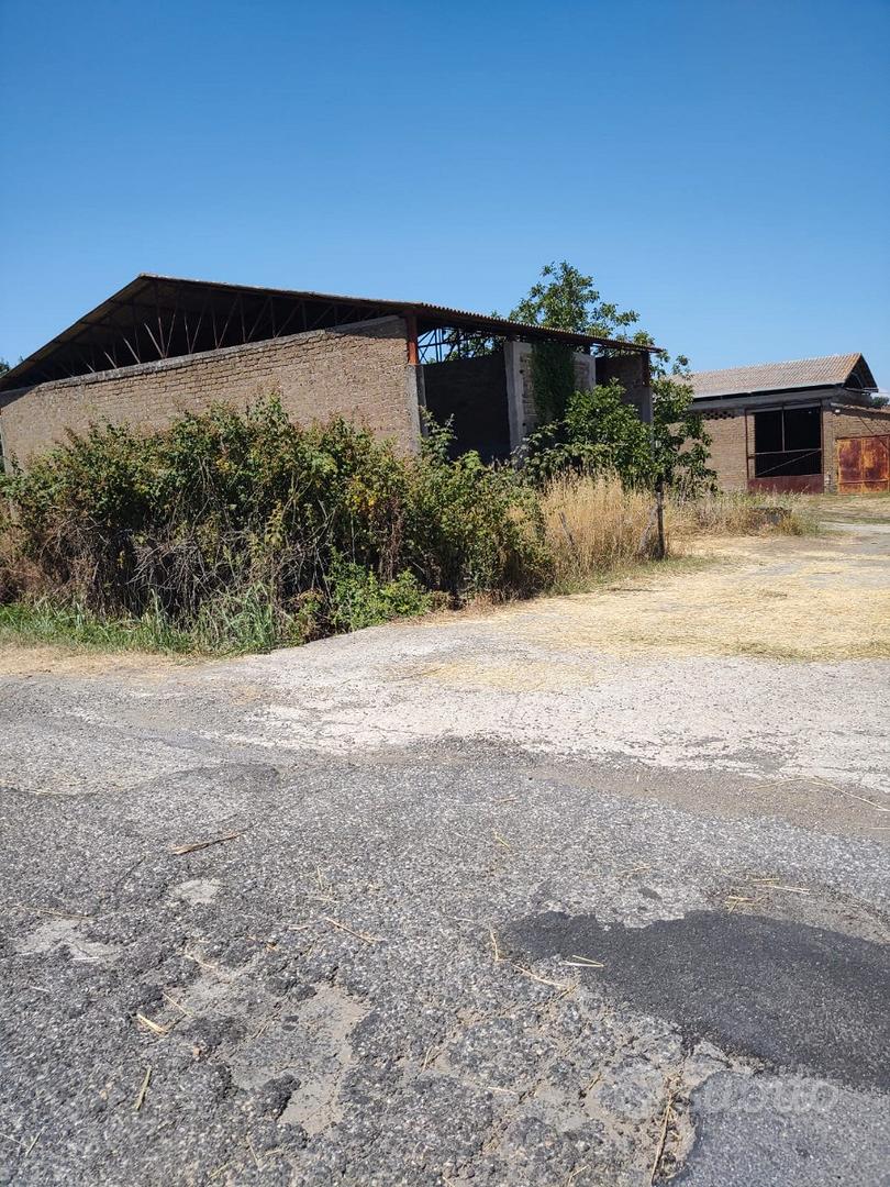 Terreno agricolo + capannone/fienile - Vista 4