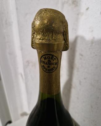 Coteaux Champenois Saran