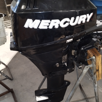 Mercury MLFS 15 CV 4t 2006 TAGLIANDATO