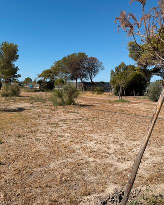 terreno di 100mq al mare condominio Tamarix