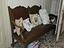 Immagine 2