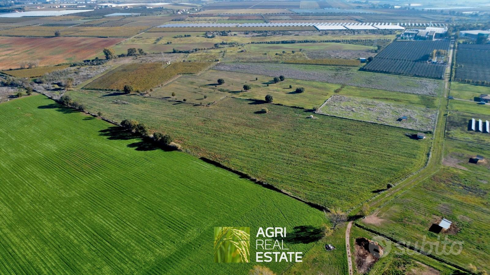 Terreno agricolo 7 HA con pozzo e magazzino - Vista 2