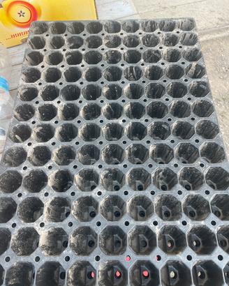 Contenitori piantine