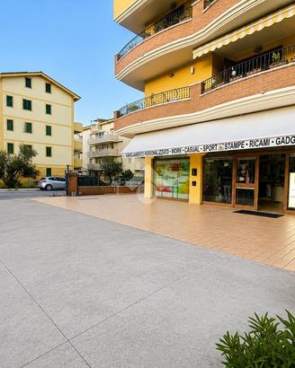 NEGOZIO A TORTORETO