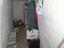 Immagine 22
