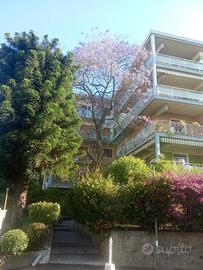 8,5 vani 2 bagni cuc ab e giardino garage privato