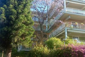 8,5 vani 2 bagni cuc ab e giardino garage privato