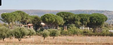Villa Spampinato