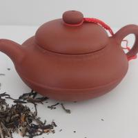 Teiera cinese Zisha Yixing in argilla.
