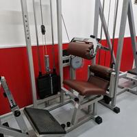 Lower back technogym silver rehab