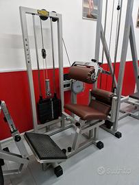 Lower back technogym silver rehab