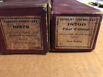 Orchestra robotica phonoliszt violina