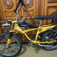 GRAZIELLA  DEI, BIANCHI,CROSS CARNIELLI DA VETRINA