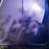 lamierati maggiolino del 1970