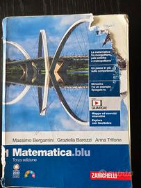 Matematica blu 1