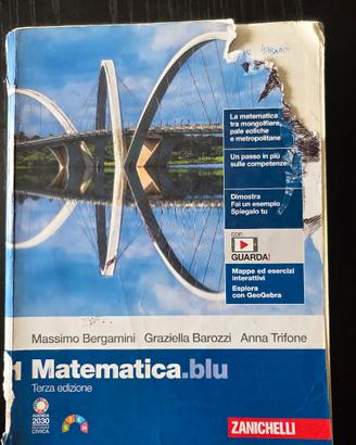Matematica blu 1