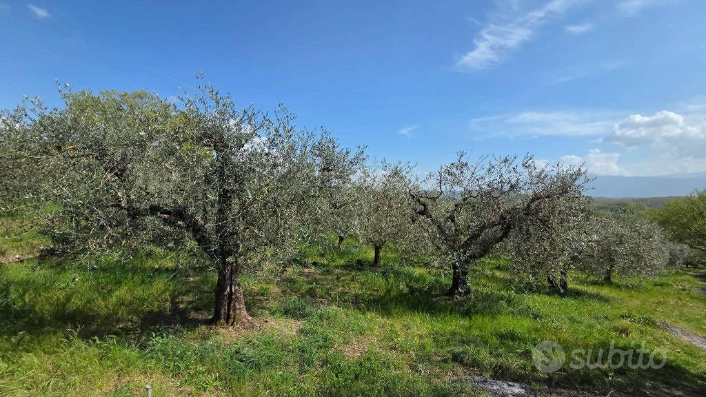 Terreno di 3300 m² a Piglio - Vista 2