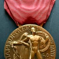 Benemerenza medaglia volontari