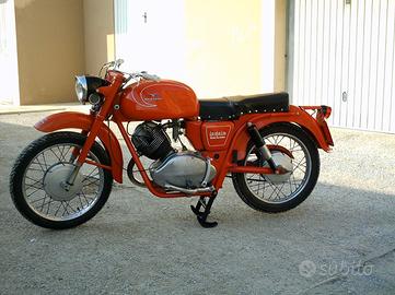 Moto Guzzi Lodola 235 GT - 1964