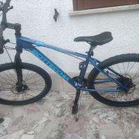 Bicicletta Bottechia 27,5
