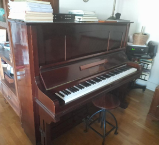 Pianoforte a muro Richard Weber