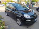 fiat-panda-1-0-firefly-s-s-hybrid-gpl