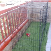recinto per animali 