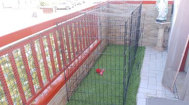 recinto per animali 