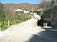 Immagine 11