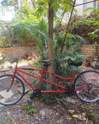 bicicletta tandem 