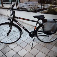 Bicicletta Fregius