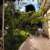 Ampio 5 Vani Terrazza Giardino Garage zona Tivoli