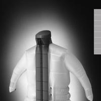 Stira camicie Dressman professionale casa Siemens