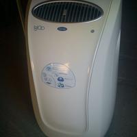 carrier climatizzatore portatile