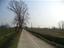Immagine 7