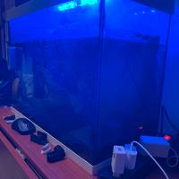 acquario 80LT