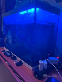 acquario 80LT