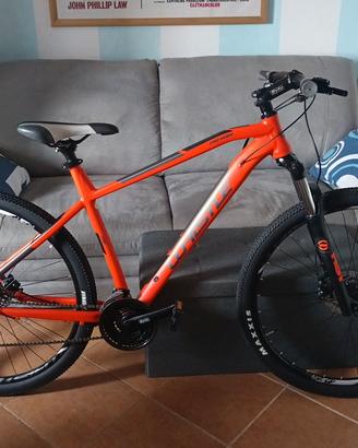MTB  29