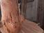 Immagine 13