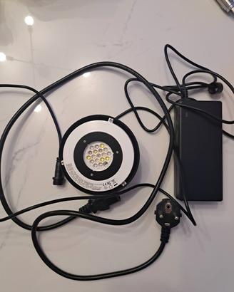 Cetus plafoniera acquario marino 