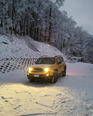 Jeep Renegade Trailhawk