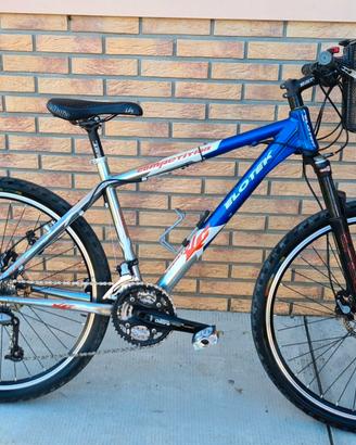 MOUNTAIN BIKE