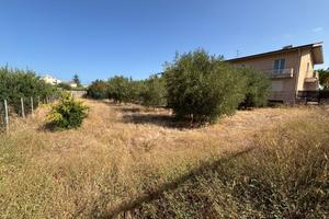 Terreno Edificabile - Cinisi