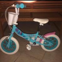 bici frozen