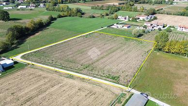 TER. AGRICOLO A CASTELFRANCO VENETO