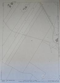 Vendita terreno petacciato (CB)