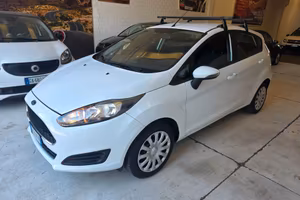 Ford Fiesta 1.4 5 porte Bz.- GPL Business