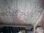 Immagine 11